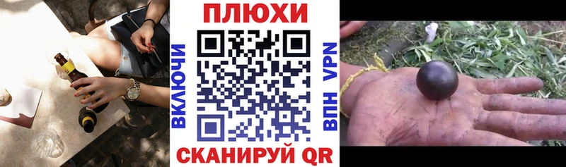ГАШ 40% ТГК Суджа
