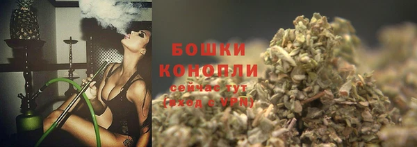 дмт Арсеньев