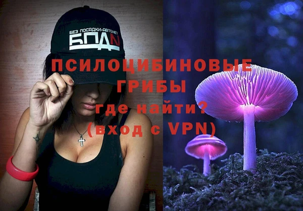 дмт Арсеньев