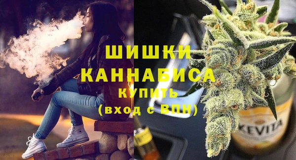 дмт Арсеньев