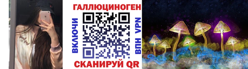 блэк спрут онион  Суджа  Псилоцибиновые грибы Psilocybine cubensis 